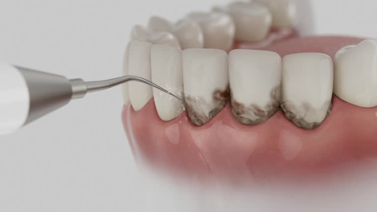 Reliable Dental contractor in Carrollton, VA by Dentist Open Now
